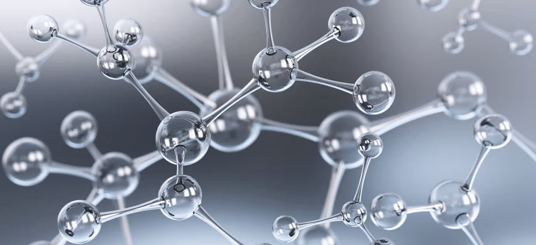 El colágeno: la proteína estructural más importante del cuerpo humano